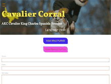 Tablet Screenshot of cavaliercorral.com